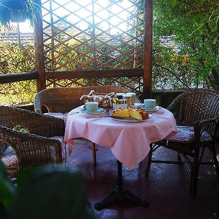 Le Camelie Bed and Breakfast Brissago-Valtravaglia Eksteriør billede